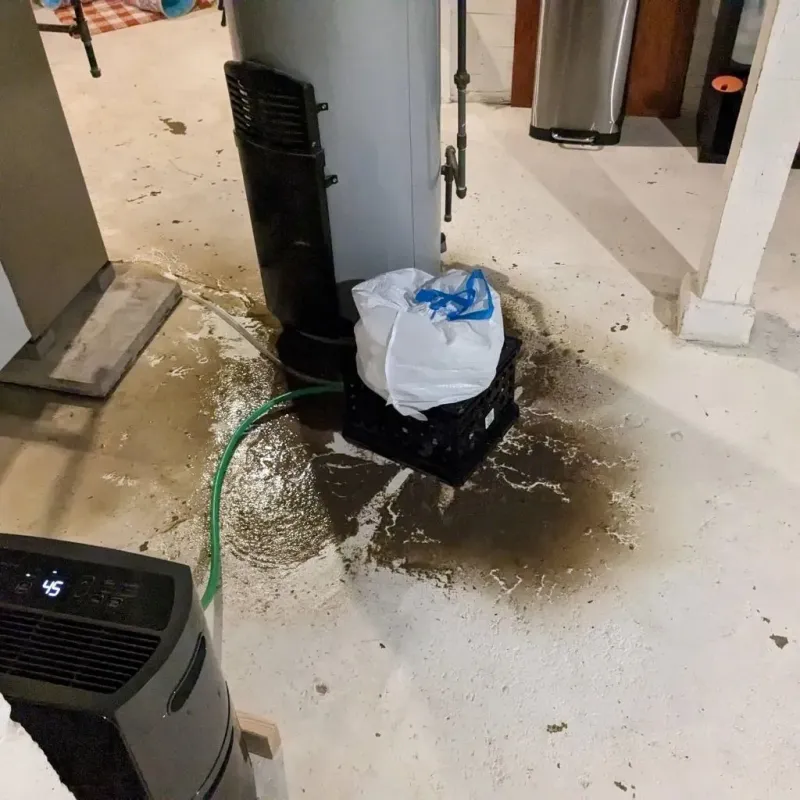Sewage Backup Cleanup Service in Lugoff, SC